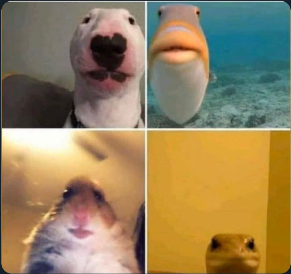 Thumbnail Badge OnWebcam